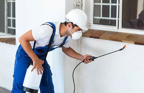 Pest control specialist at work